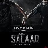 Salaar Final Punch.mp3